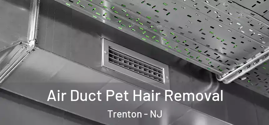  Air Duct Pet Hair Removal Trenton - NJ