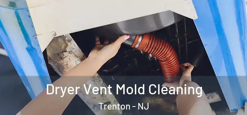 Dryer Vent Mold Cleaning Trenton - NJ