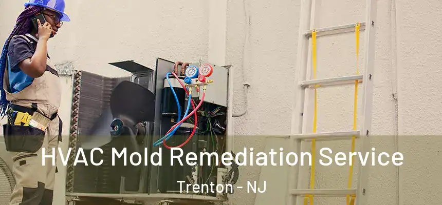 HVAC Mold Remediation Service Trenton - NJ