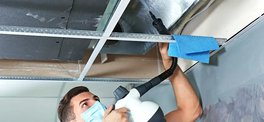 Our Air Duct Rodent Removal Services in Trenton, NJ