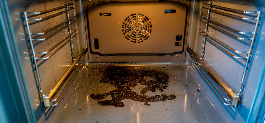 Our Dryer Vent Mold Cleaning Services in Trenton, NJ