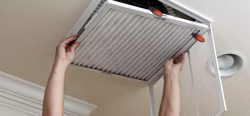 Our Insect Removal from Air Ducts Services in Trenton, NJ