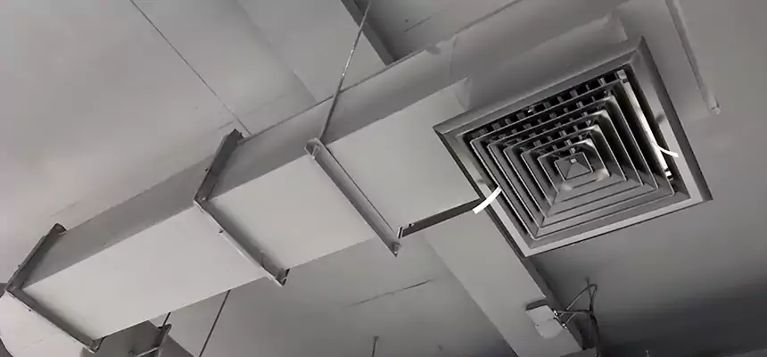 Our Pest Removal From Ducts Services in Trenton, NJ