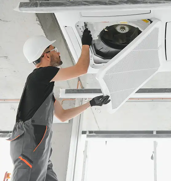 About Air Duct Rodent Removal in Trenton, NJ