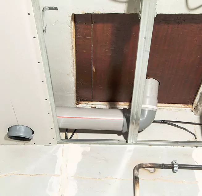 Why Homeowners & Businesses Trust Us in Trenton, NJ?