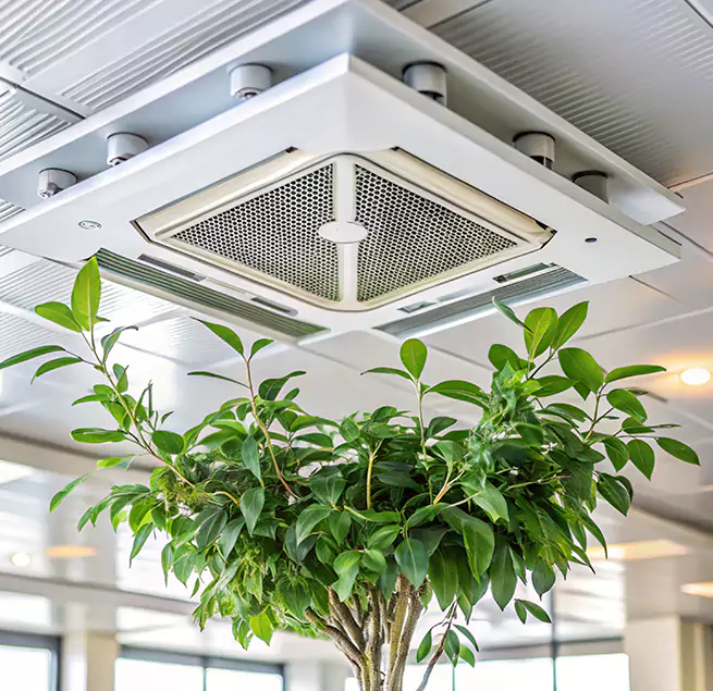 Why Homeowners & Businesses Trust Us in Trenton, NJ?