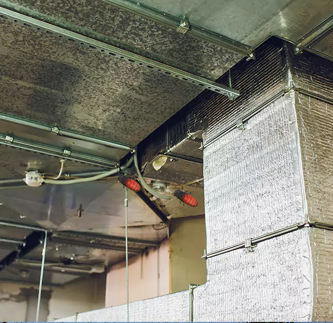 Why Homeowners & Businesses Trust Us Trenton, NJ?