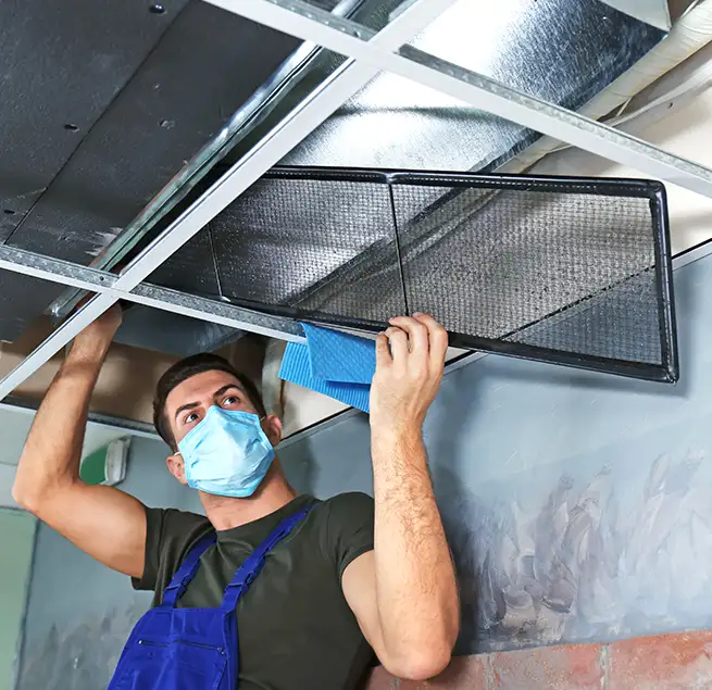 Why Homeowners & Businesses Trust Us in Trenton, NJ?