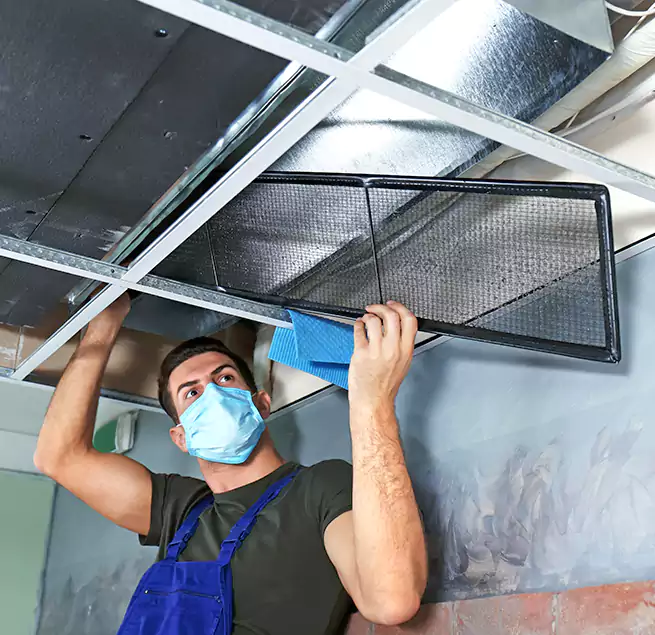 Why Homeowners Businesses Trust Us in Trenton, NJ